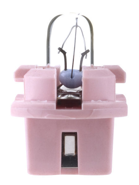 B11D-T7 1CP ROSE 12V