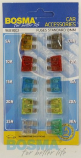 Pack de 10 Fusibles 19mm