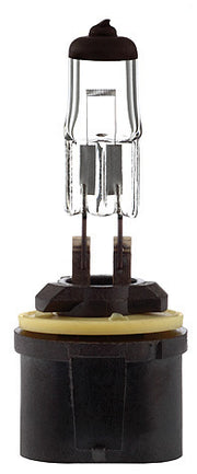 Ampoule 893 PG13 BLACK TOP 37.5W 12.8V