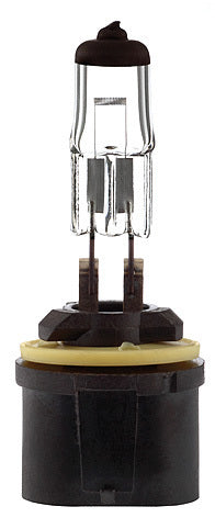 Ampoule 893 PG13 BLACK TOP 37.5W 12.8V