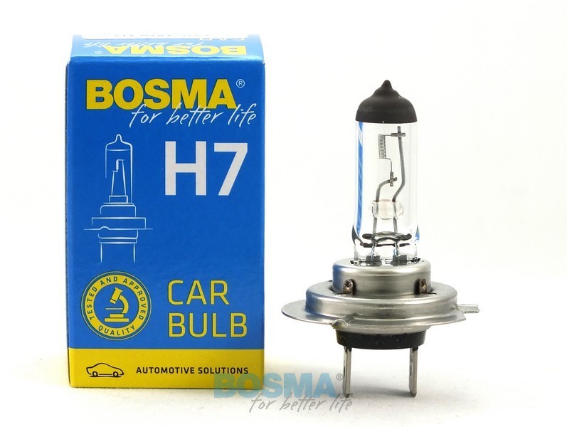 10x H7 12V 55W PX26d 5012067 bulbs