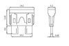 Boite de 10 Fusibles standard 19MM 4A