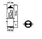 Bulb BA20d S1 25/25W 12V