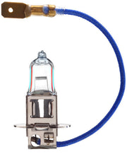 Ampoule H3 PK22s 55W 12V SW SUPER WHITE