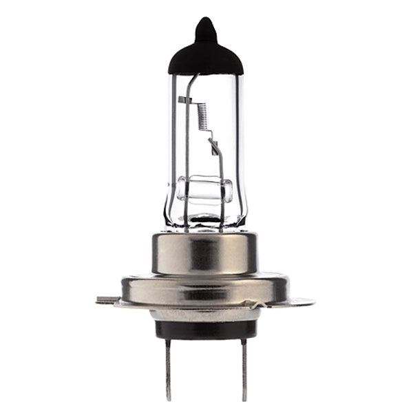 Ampoule H7 100W PX26d RALLY 12V